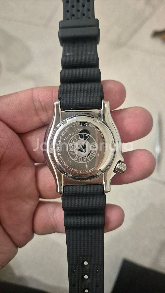 시티즌 복어 풀루메 ny0040--1