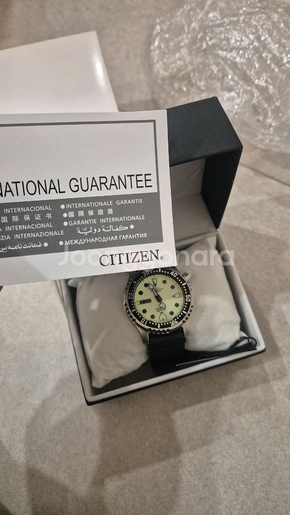 시티즌 복어 풀루메 ny0040--2