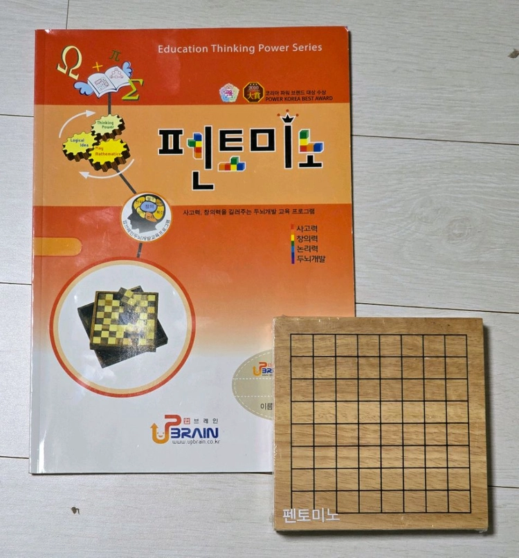 원목 펜토미노(펜토체스)와 교재 - 안심되는 중고거래