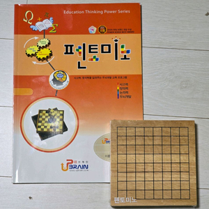 원목 펜토미노(펜토체스)와 교재