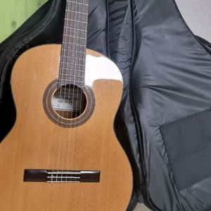 김정국 기타 38호