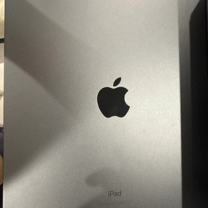 아이패드 프로 11인치 2세대 256GB