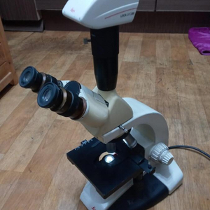 LEICA DME 위상차 현미경& Leica DFC 280 카메라 이미지