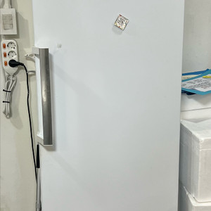 삼성 냉동고 201L