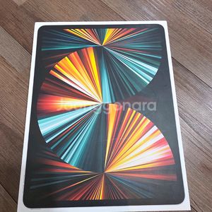 아이패드 프로 5세대 셀룰러모델 판매합니다