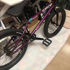 서브로사 bmx 팝니다(개개개개개 급처)