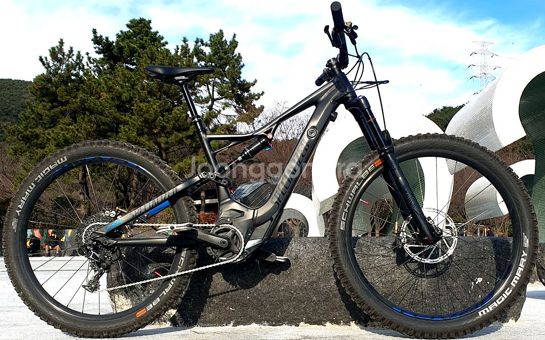 스페셜 라이즈드 전기 산악 자전거E-MTB--0