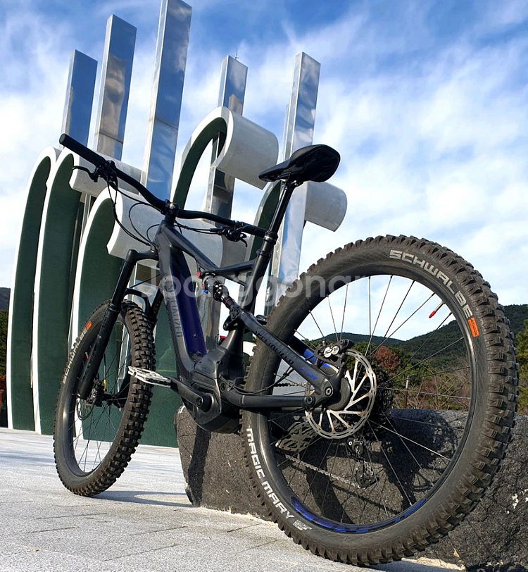 스페셜 라이즈드 전기 산악 자전거E-MTB--3