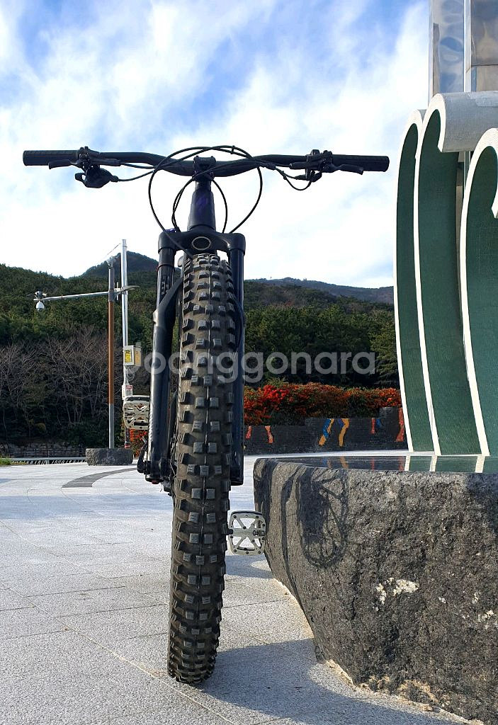 스페셜 라이즈드 전기 산악 자전거E-MTB--6