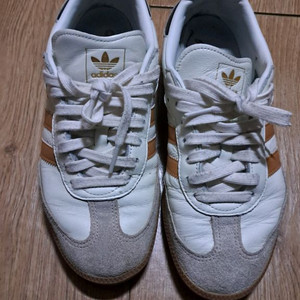 아디다스 삼바 250 2만원