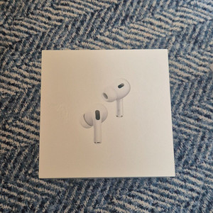 에어팟 프로 2세대 (c타입)