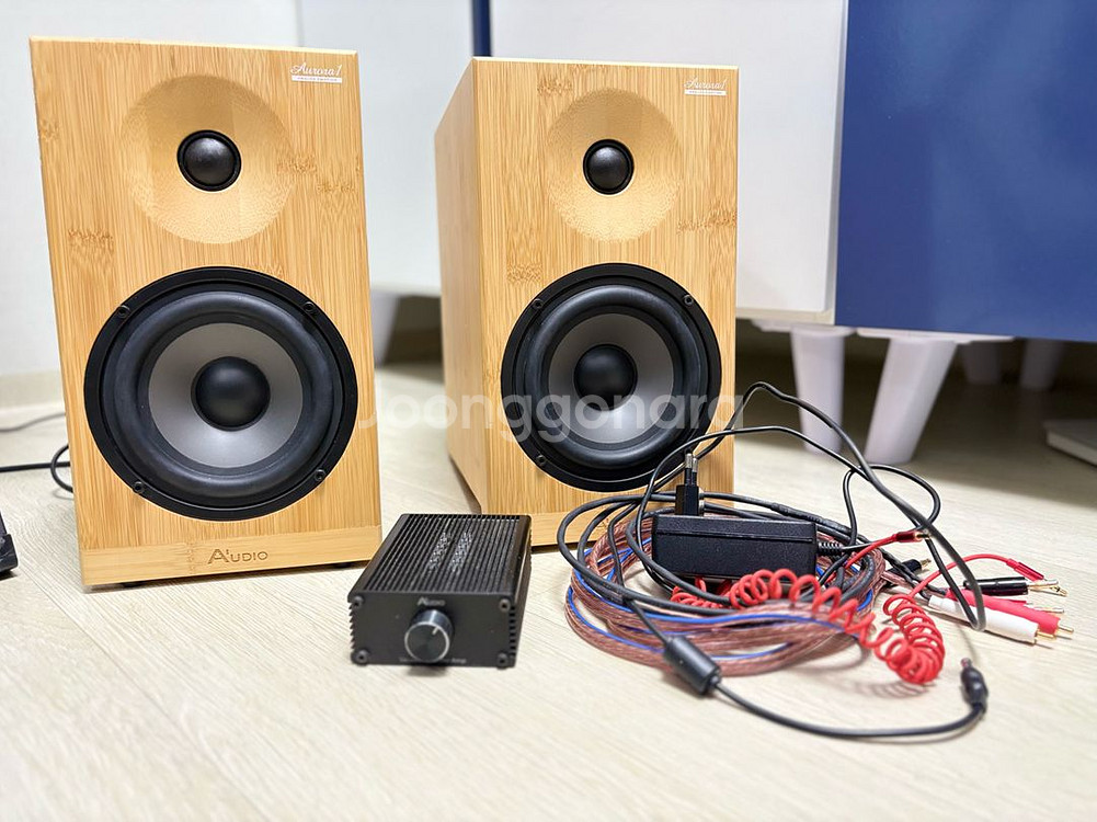 에이원오디오 오로라1 take2 액티브 스피커 진공관앰프--0