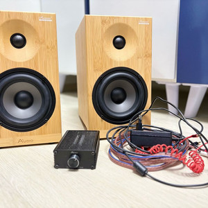 에이원오디오 오로라1 take2 액티브 스피커 진공관앰프