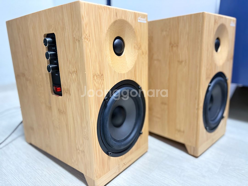 에이원오디오 오로라1 take2 액티브 스피커 진공관앰프--3