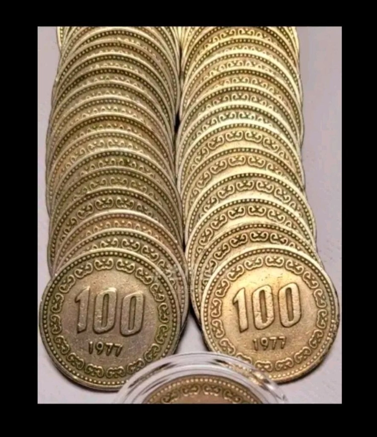 100원주화 동전 1줄 50개씩 한국은행 조폐공사 이미지