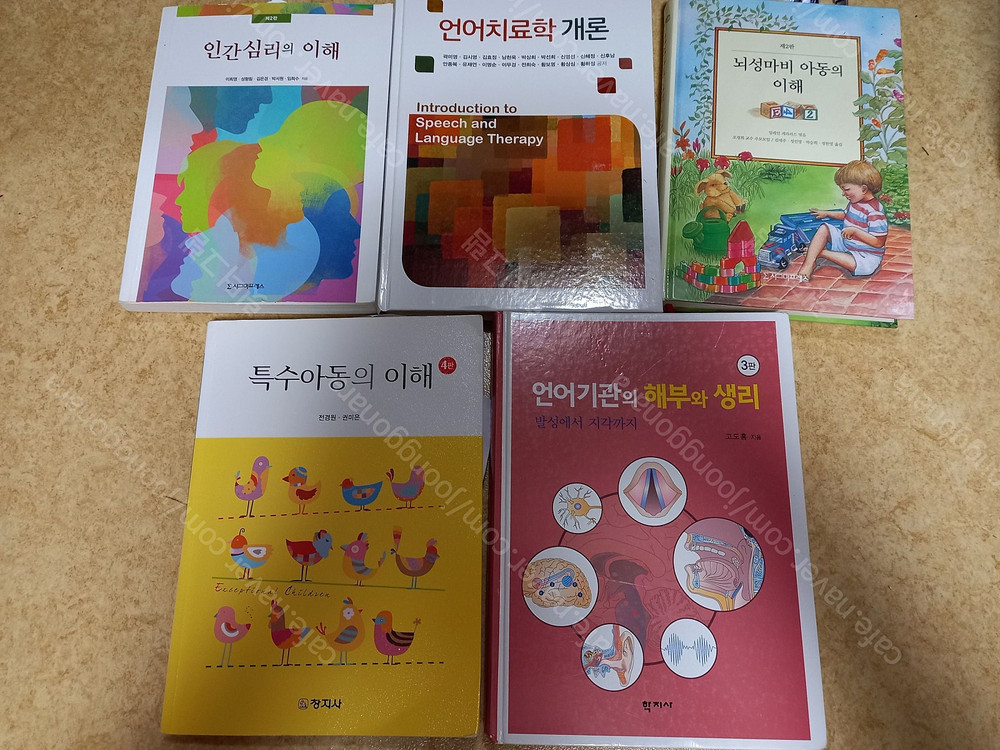 반값부터 간호학과 외식산업경영과 제빵학과 식품영양학과 안경과 언어치료과 치기공과 치위생과 금융회계과 아동--5