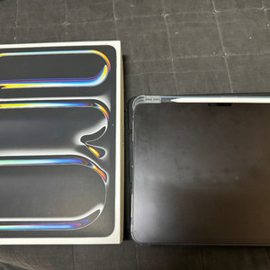 아이패드 프로 13인치 256 셀룰러