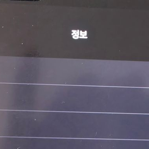 아이패드 프로 6세대 셀룰러 12.9인치 1TB