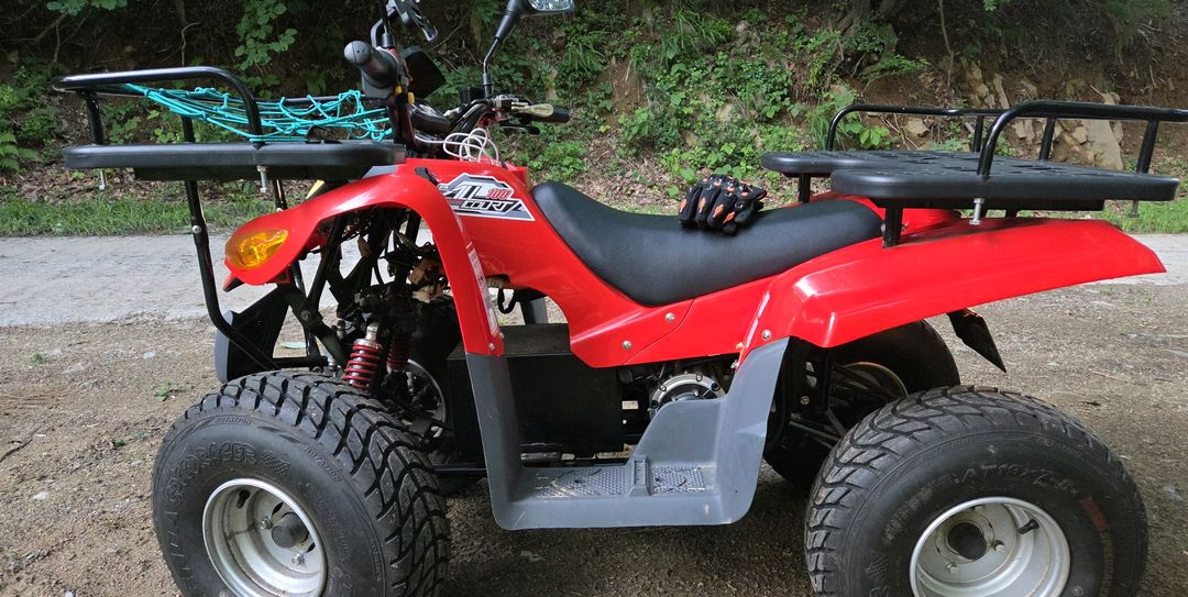 E-AT100 전기 ATV 사륜 전동오토바이 판매합니다 (배터리·모터 상태 좋음) 모델명 : E-AT100--4