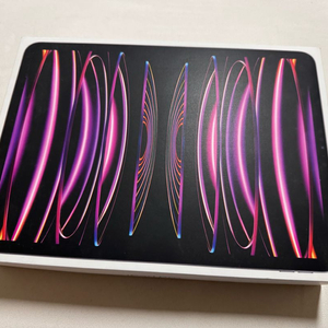 아이패드 프로 11 4세대 M2 256GB 셀룰러 스페이스 그레이