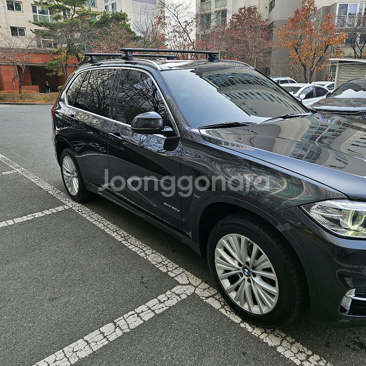 BMW X5 xDrive30d f15--1
