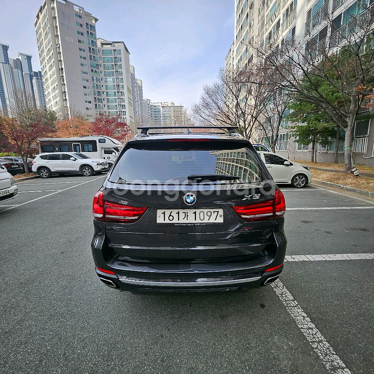 BMW X5 xDrive30d f15--3