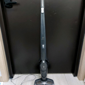 일렉트로룩스 에르고라피도 알러지 무선청소기