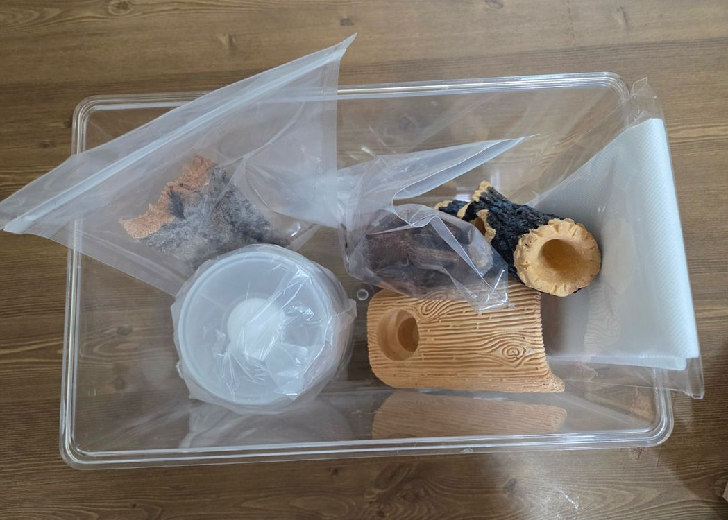 장수풍뎅이 사슴벌레 사육장 사육용품 세트 코바에셔터--3