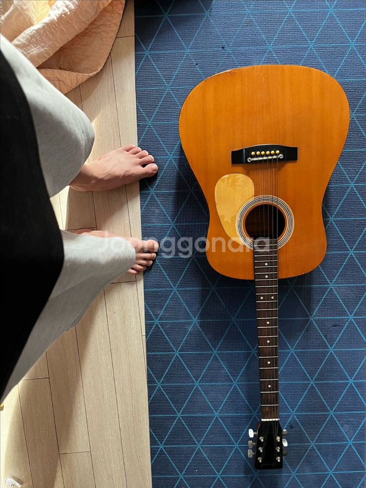 어쿠스틱 기타--0