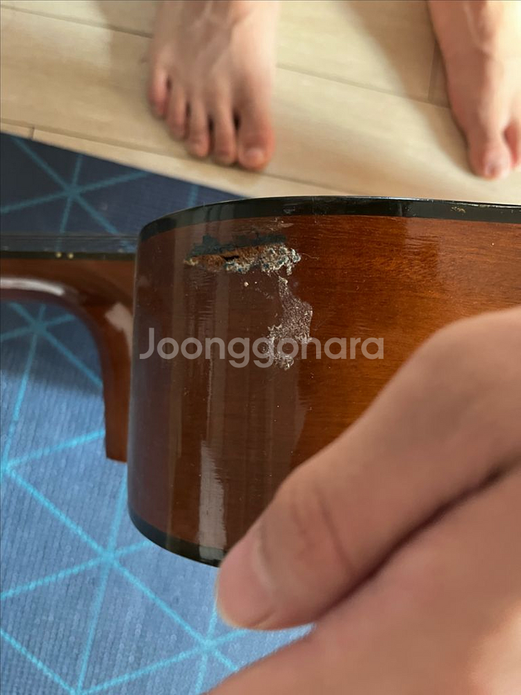 어쿠스틱 기타--1