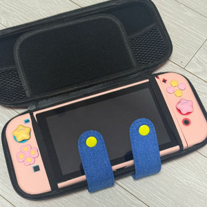 닌텐도 스위치배터리개선판 +칩5개 + 파우치