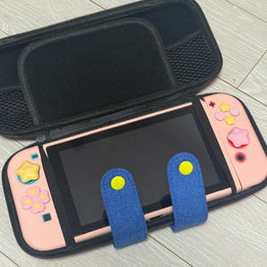 닌텐도 스위치배터리개선판 +칩5개 + 파우치