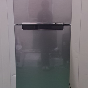 1607 삼성 255L 2도어냉장고(메탈)