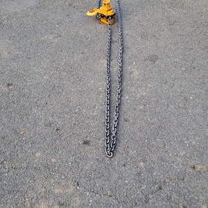 체인블럭 2.7톤 일본생산품 이미지