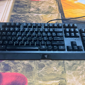 레이저 블랙위도우 게이밍 키보드