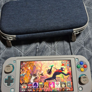 닌텐도 스위치라이트 커펌 512GB 급처