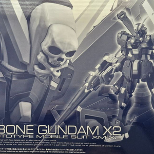 rg 크로스본 건담 x2, 지리워크 데칼