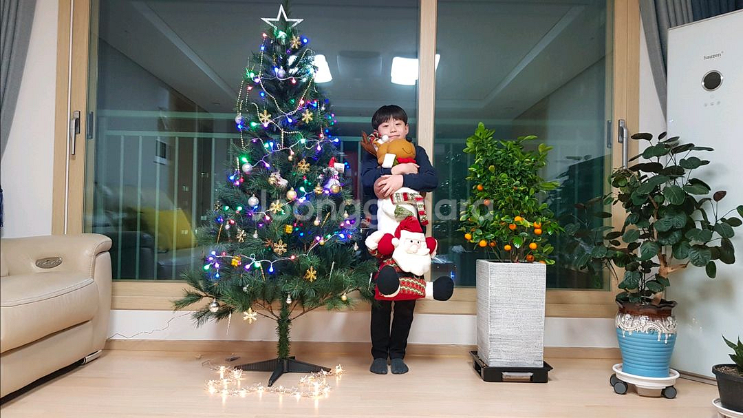 크리스마스 트리 풀세트--1