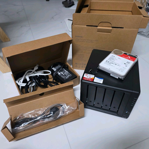 시놀로지 나스 DS923+ / 아이언울프 20TB 하드