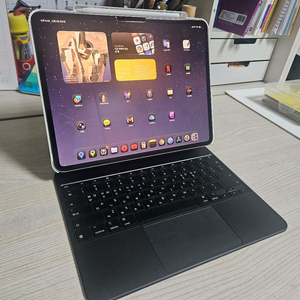 아이패드 프로 M4 13인치 1tb 셀룰러 + 매직키보드