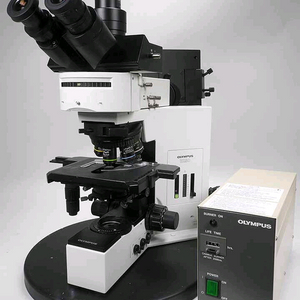 올림푸스 형광현미경 BX50FL 이미지