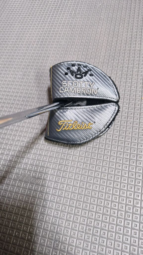 퓨터 + 타이틀리스트 P790 퍼터헤드 세트 이미지