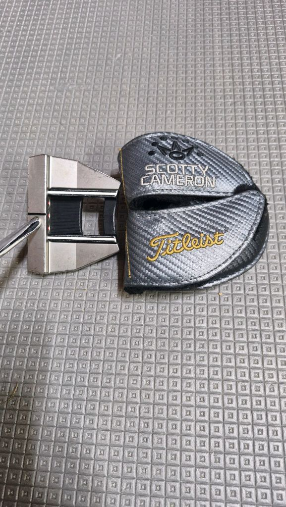 퓨터 + 타이틀리스트 P790 퍼터헤드 세트 이미지