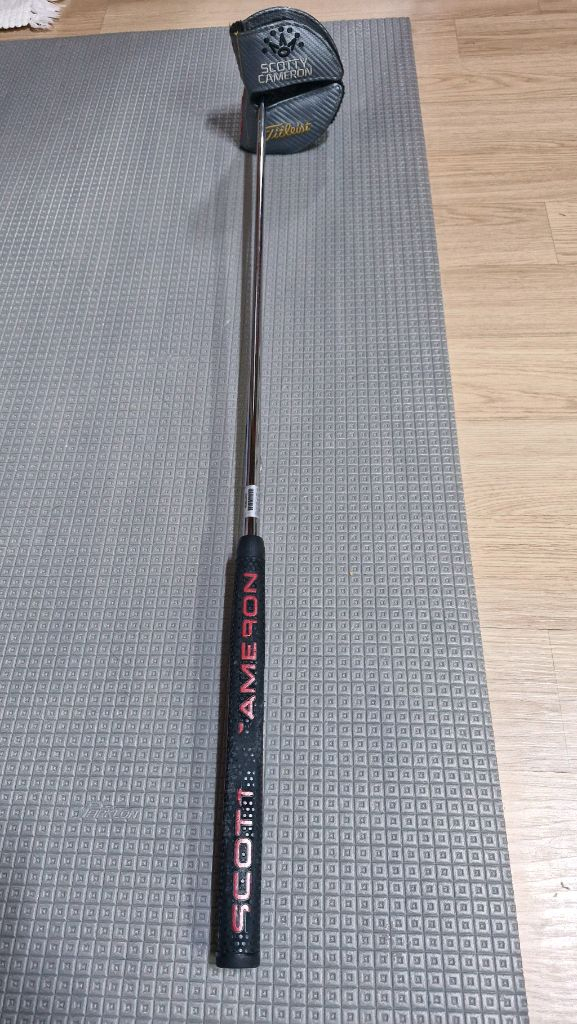 퓨터 + 타이틀리스트 P790 퍼터헤드 세트 이미지