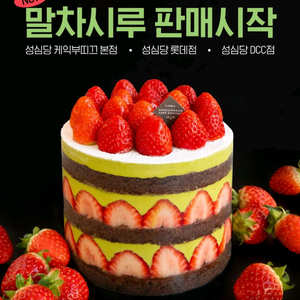 성심당 말차시루 케이크 및 각종 빵 롤게이크 대행