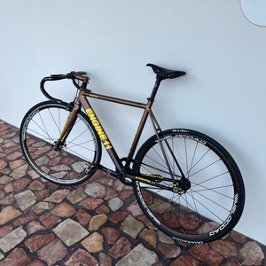 엔진11 볼텍스 메탈 브라운 픽시 급처/대차