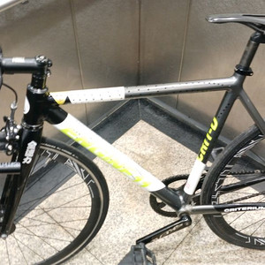 엔진11네온차콜 픽시 이미지