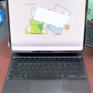 아이패드 프로 13 M4 셀룰러 256G (매직 키보드 포함)