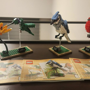 레고 71805 닌자고, 21301 아이디어스 새 판매 이미지