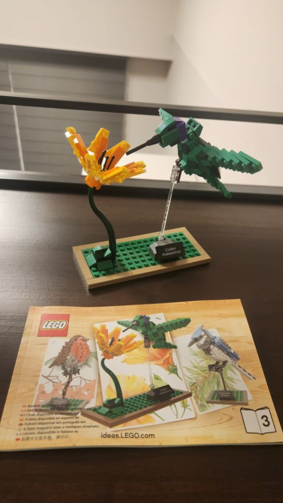 레고 71805 닌자고, 21301 아이디어스 새 판매 이미지